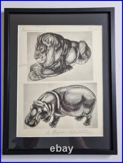 Planche illustrée Lion et Hippopotame Signée André Margat 1950 40 x 30 cm