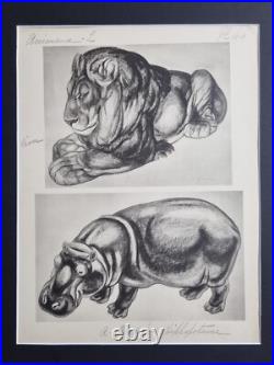 Planche illustrée Lion et Hippopotame Signée André Margat 1950 40 x 30 cm