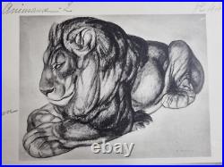 Planche illustrée Lion et Hippopotame Signée André Margat 1950 40 x 30 cm