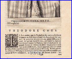 Portrait XVIIe Theodore Gaza Theodorus Gazæ Theodorus Gaza? 1682