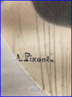 Rare 3 lithographies A. PINGOT 19e sarcelle & caille perdrix rouge lièvre