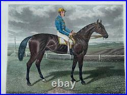 Rare gravure Bothwell engraving XIXème race horse portrait 2000 Guineas 1871