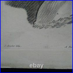 Rare gravure XVIIIème bel état F. Boucher et L. Bonnet signée nu académie homme