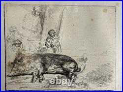 Rembrandt gravure le Cochon Truie Sanglier Porc The Hog Pig Sow Wild Boar 1643