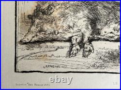 Rembrandt gravure le Cochon Truie Sanglier Porc The Hog Pig Sow Wild Boar 1643