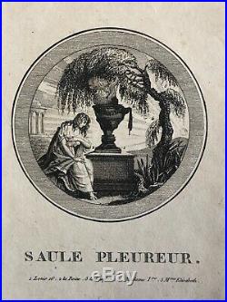 SAULE PLEUREUR SEDITIEUX émigré c 1795 Roi Louis XVI Marie-Antoinette Révolution