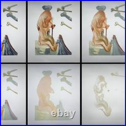 Salvador DALI Enfer 18, 6 GRAVURES originales, Divine Comédie, 1960