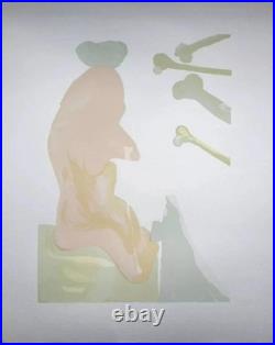 Salvador DALI Enfer 18, 6 GRAVURES originales, Divine Comédie, 1960