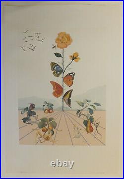 Salvador Dali Flordali II la rose papillon lithographie 1981 surréalisme
