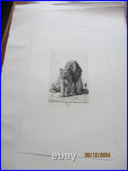Série de 24 gravures anciennes d'Evert Van Muyden sur les animaux Série de 24 gravures anciennes d'Evert Van Muyden sur les animaux