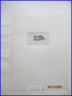 Série de 24 gravures anciennes d'Evert Van Muyden sur les animaux Série de 24 gravures anciennes d'Evert Van Muyden sur les animaux