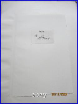 Série de 24 gravures anciennes d'Evert Van Muyden sur les animaux Série de 24 gravures anciennes d'Evert Van Muyden sur les animaux