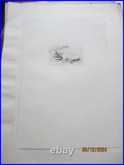 Série de 24 gravures anciennes d'Evert Van Muyden sur les animaux Série de 24 gravures anciennes d'Evert Van Muyden sur les animaux