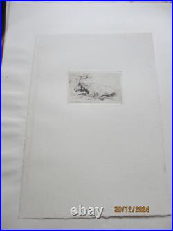 Série de 24 gravures anciennes d'Evert Van Muyden sur les animaux Série de 24 gravures anciennes d'Evert Van Muyden sur les animaux