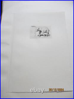 Série de 24 gravures anciennes d'Evert Van Muyden sur les animaux Série de 24 gravures anciennes d'Evert Van Muyden sur les animaux