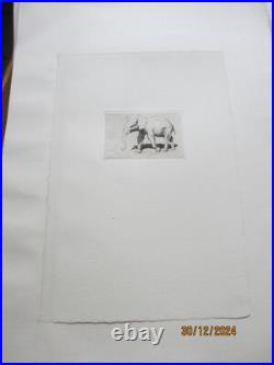 Série de 24 gravures anciennes d'Evert Van Muyden sur les animaux Série de 24 gravures anciennes d'Evert Van Muyden sur les animaux