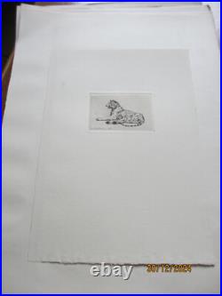 Série de 24 gravures anciennes d'Evert Van Muyden sur les animaux Série de 24 gravures anciennes d'Evert Van Muyden sur les animaux