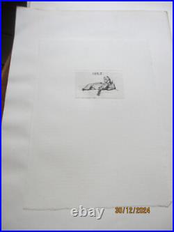 Série de 24 gravures anciennes d'Evert Van Muyden sur les animaux Série de 24 gravures anciennes d'Evert Van Muyden sur les animaux