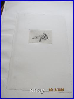 Série de 24 gravures anciennes d'Evert Van Muyden sur les animaux Série de 24 gravures anciennes d'Evert Van Muyden sur les animaux