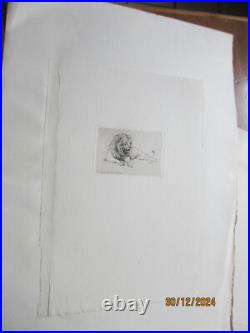 Série de 24 gravures anciennes d'Evert Van Muyden sur les animaux Série de 24 gravures anciennes d'Evert Van Muyden sur les animaux
