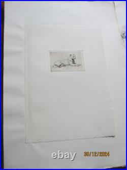 Série de 24 gravures anciennes d'Evert Van Muyden sur les animaux Série de 24 gravures anciennes d'Evert Van Muyden sur les animaux