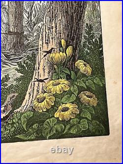 Singe Éléphant Zèbre Baobab Fleurs Antique Lithographie 1838 Colorié à la Main