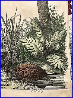 Singe Perroquet Palmiers Asie Antique Lithographie 1838 Colorié à la Main Image