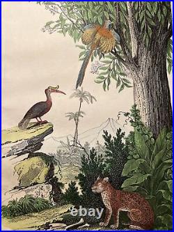 Singe Perroquet Palmiers Tigre Antique Lithographie 1838 Colorié à la Main