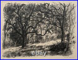 Sous Bois LITHOGRAPHIE signée MICHEL CIRY Paysage 16/35 Arbres 1943