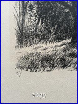 Sous Bois LITHOGRAPHIE signée MICHEL CIRY Paysage 16/35 Arbres 1943