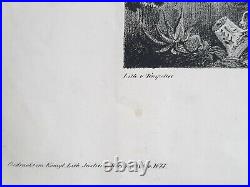 Sparte SPARTA Lithographie JULIUS TEMPELTEY Luderitz GRECE Konigl 1825