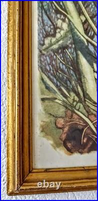 Tableau Robert Hainard 1906-99 Martin Pêcheur 1958 Reproduction Lithographique