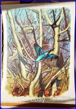 Tableau Robert Hainard 1906-99 Martin Pêcheur 1958 Reproduction Lithographique