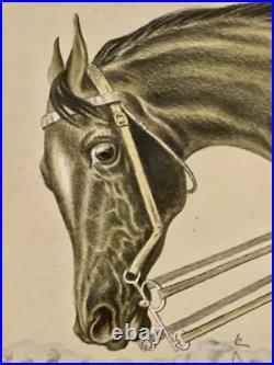 Tableau ancien XIX gravure Albert ADAM Steeple-Chase chevaux hippisme courses Tableau ancien XIX gravure Albert ADAM Steeple-Chase chevaux hippisme courses