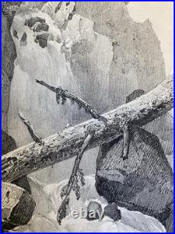 Très Belle Gravure Arbre Chute Eau Tronc Delpech Remond 1829 Lithographie Ancien