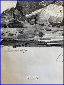 Très Belle Gravure Arbre Chute Eau Tronc Delpech Remond 1829 Lithographie Ancien