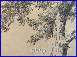 Très Belle Gravure Arbre Feuillage Feuille A Identiter Art Ancien Lithographie