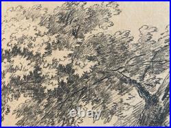Très Belle Gravure Arbre Feuillage Feuille A Identiter Art Ancien Lithographie