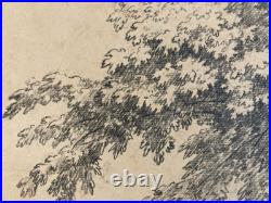 Très Belle Gravure Arbre Feuillage Feuille A Identiter Art Ancien Lithographie