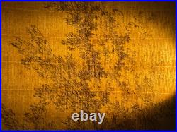 Très Belle Gravure Arbre Feuillage Feuille A Identiter Art Ancien Lithographie
