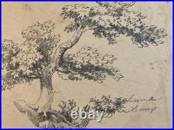 Très Belle Gravure Arbre Feuillage Feuille Delacroix Art Ancien Lithographie