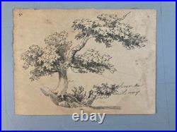 Très Belle Gravure Arbre Feuillage Feuille Delacroix Art Ancien Lithographie