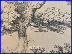 Très Belle Gravure Arbre Feuillage Feuille Delacroix Art Ancien Lithographie