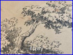 Très Belle Gravure Arbre Feuillage Feuille Delacroix Art Ancien Lithographie