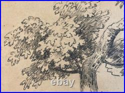 Très Belle Gravure Arbre Feuillage Feuille Delacroix Art Ancien Lithographie