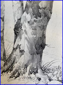 Très Belle Gravure Arbre Platane Tronc Delpech Remond 1829 Lithographie Ancien