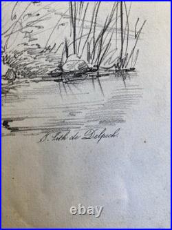 Très Belle Gravure Arbre Platane Tronc Delpech Remond 1829 Lithographie Ancien