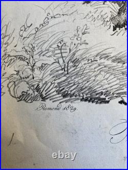 Très Belle Gravure Arbre Platane Tronc Delpech Remond 1829 Lithographie Ancien