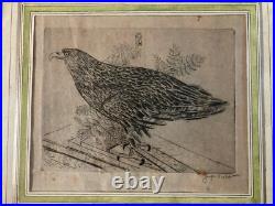 Très Belle Gravure Joseph Hecht Aigle Royal Art Animal Oiseau Rare 1928 Ancien