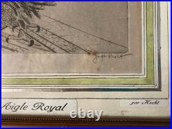 Très Belle Gravure Joseph Hecht Aigle Royal Art Animal Oiseau Rare 1928 Ancien